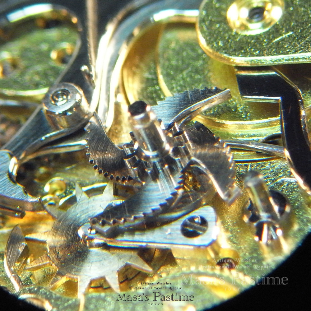 ルロア　ミニッツスネール