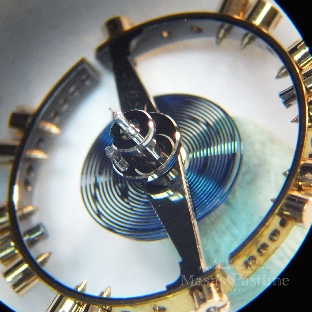 イングリッシュレバー　テンワ