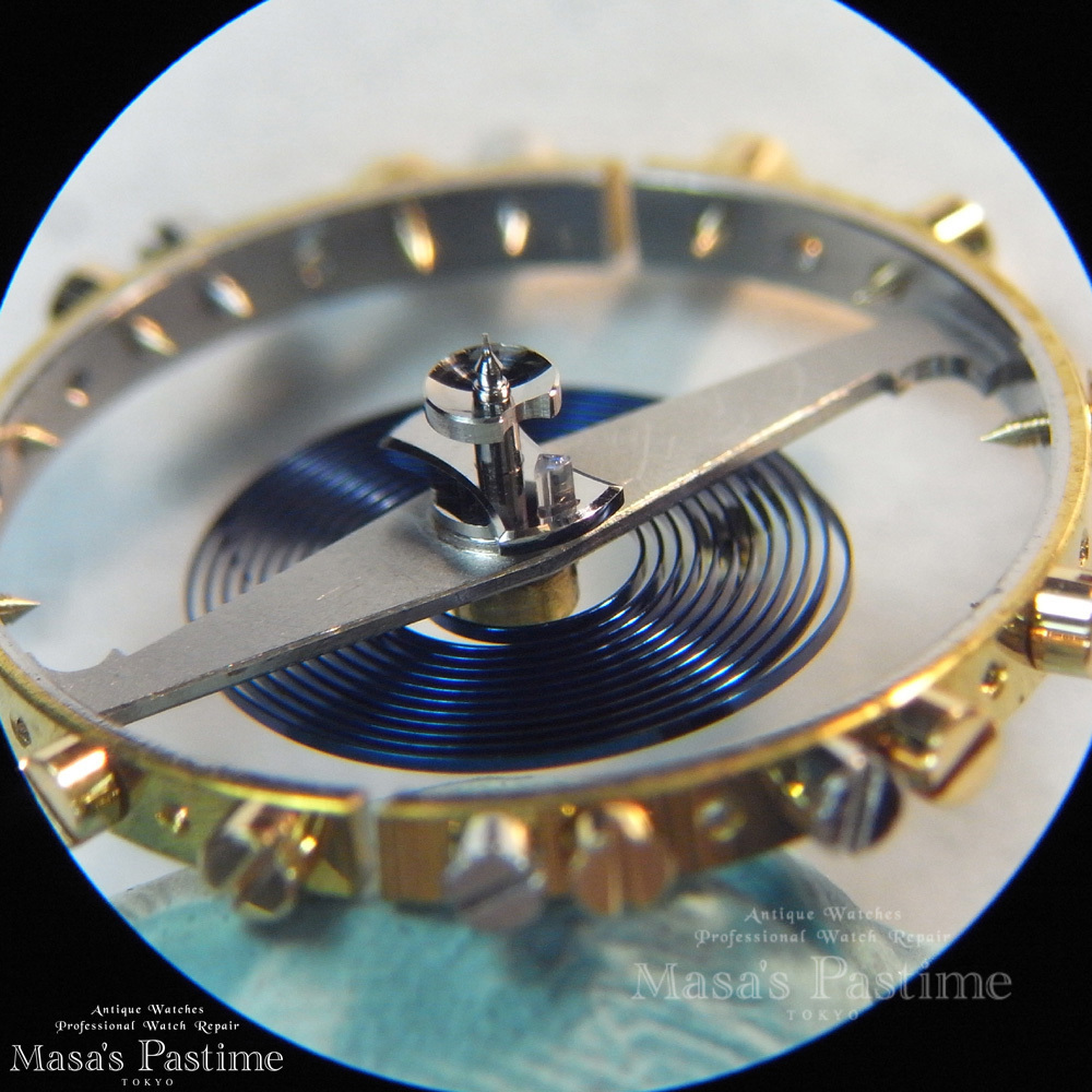 パテック・フィリップ　ギョウムテンワ