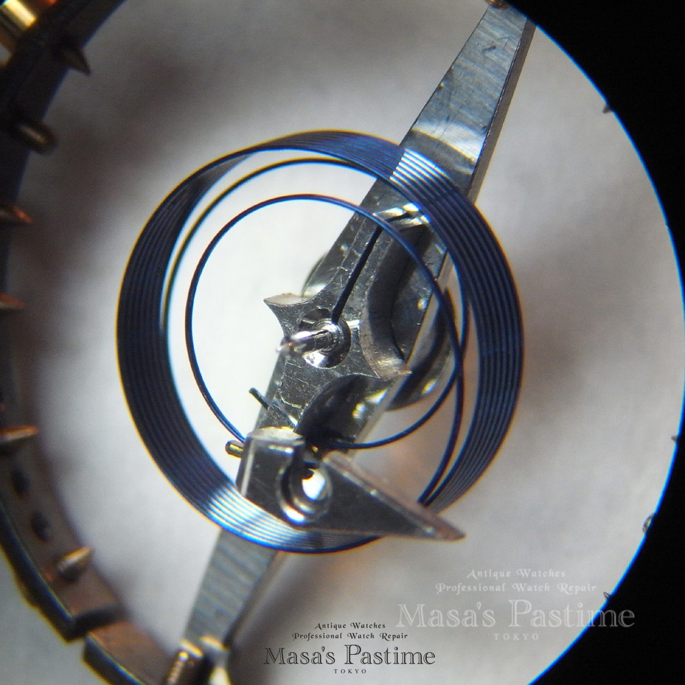 イングリッシュレバー　ちょうちんヒゲ（ヘリカルスプリング）