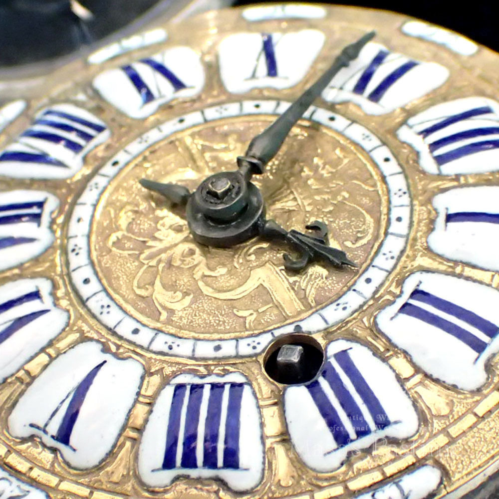 「フュジー」について